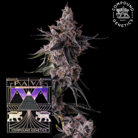 Compound Genetics - Lemon Cherry Pavé –...
