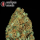 Serious Seeds Serious Happiness – 11 reguläre Cannabis Samen