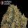 Serious Seeds CBD Chronic – 3 feminisierte CBD Samen