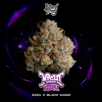 Wizard Trees - Night Ritual (Zoza x Black Magic)