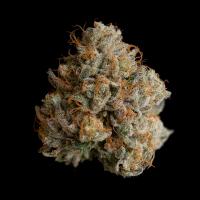 Wizard Trees - Night Ritual (Zoza x Black Magic)