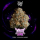 Wizard Trees - Night Ritual (Zoza x Black Magic)