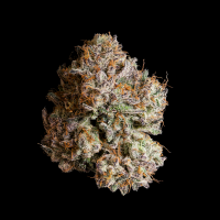 Wizard Trees - Obsidian (The Keeper x Black Magic)