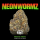 Doja - Neon Wormz (3Stk)