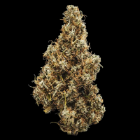 Royal Queen Seeds - Mimosa Auto