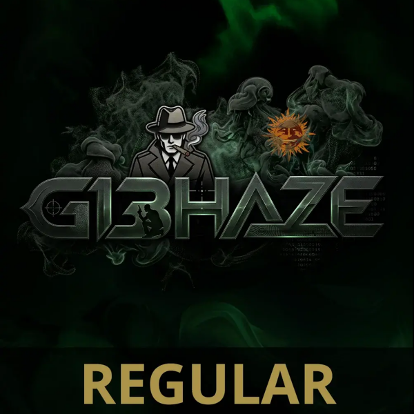 Barneys Farm - G13 Haze Regular - 5 Samen