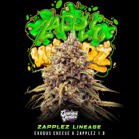 Conscious Genetics - Zapple Woodz - Feminisiert - 7 Seeds