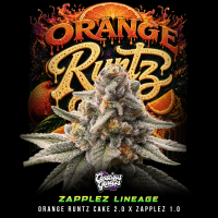 Conscious Genetics - Orange Runtz Cake 3.0 *Limited* -...