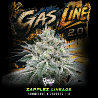 Conscious Genetics - Gas-Line 2.0 *Limited* - Feminisiert...