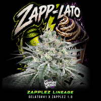 Conscious Genetics - Zapp-Lato *Limited* - Feminisiert -...