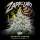 Conscious Genetics - Zapp-Lato *Limited* - Feminisiert - 7 Seeds