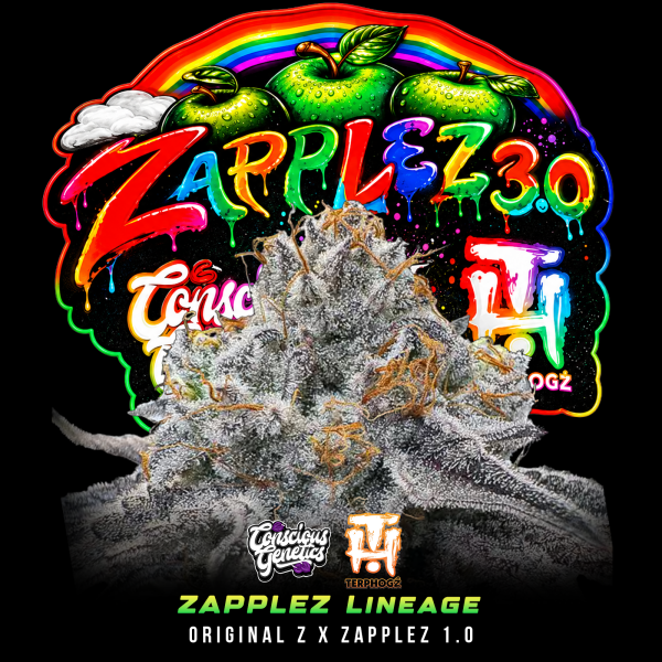 Conscious Genetics - Zapplez 3.0 *Limited* - Feminisiert - 10 Seeds
